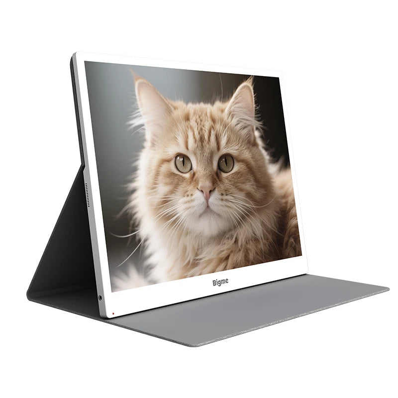 Bigme B13 Color E-ink Monitor, 13.3'' 3K 3200x2400 E-Paper Display with 36-Level Cold & Warm Light for Windows Mac Android iOS